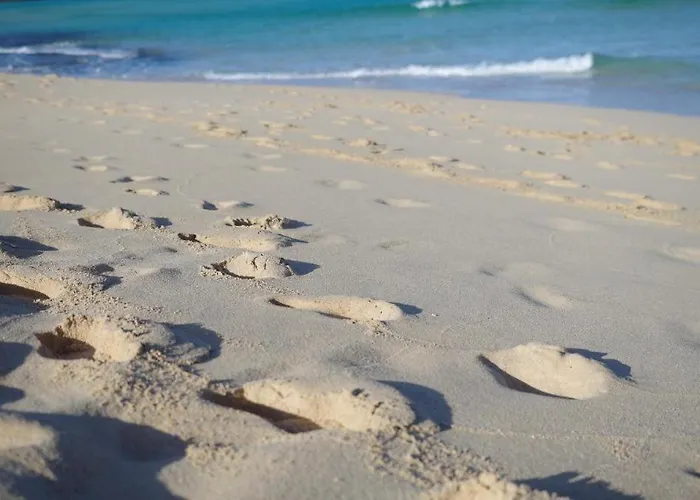 דירה Sol Y Playa El Beachfront With Pool & Ocean Views *